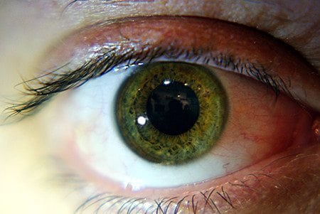 green eye shades of hazel