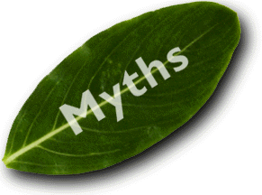 alpha myths