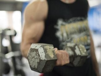 muscle building factors