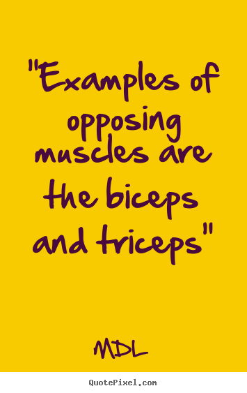 opposing muscles