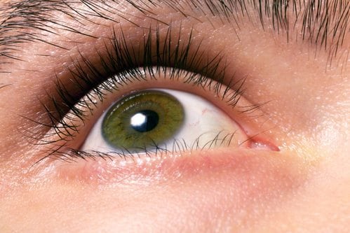 Kinds of hazel eyes different Hazel Eyes: