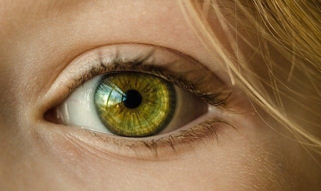 Hazel Eyes: Learn Why People with Greenish Eye Color are Rare! | Guy ...