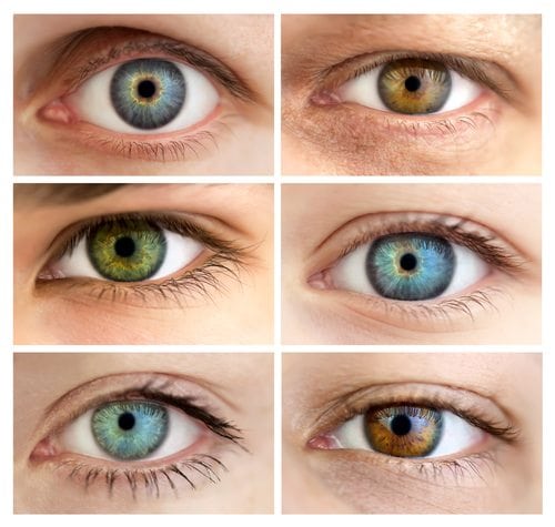 Grey Eye Color Chart