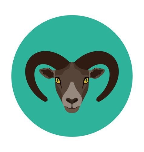 10 Personality Traits of The Capricorn Man Revealed - Guy Counseling