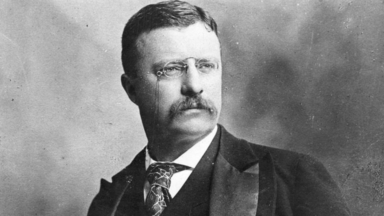 teddy Roosevelt accomplishments