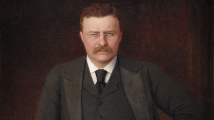 theodore roosevelt contributions to environment