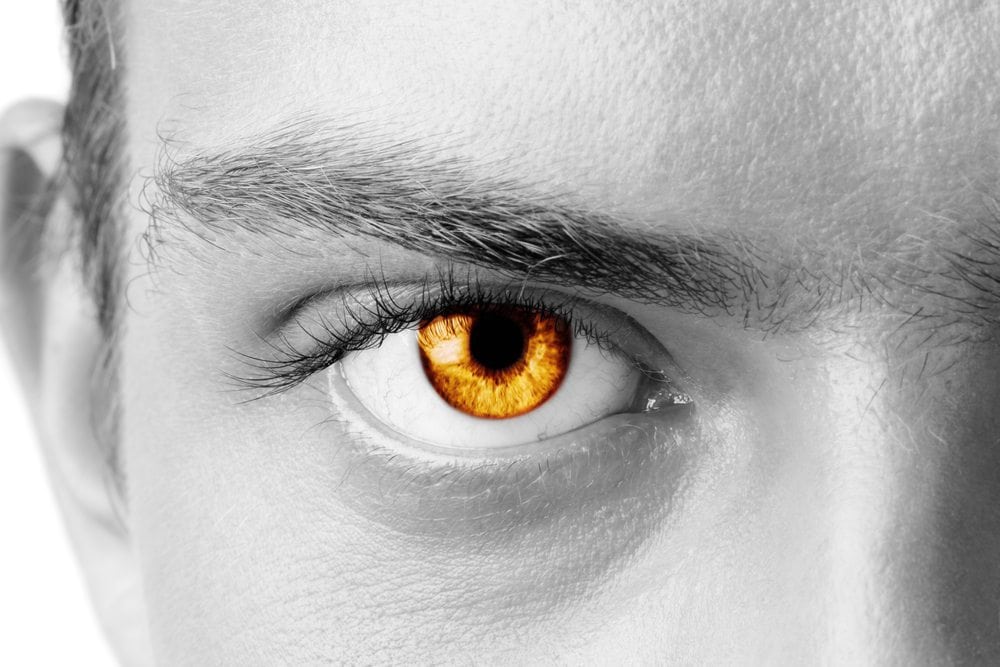 Amber Eyes Revealed - Everything You Want To Know!, golden eyes 