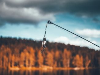 bass fishing tips