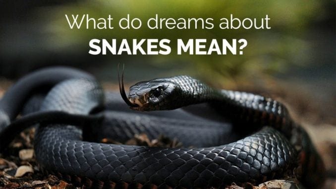 what dreams about snakes and dreams about snake bites mean