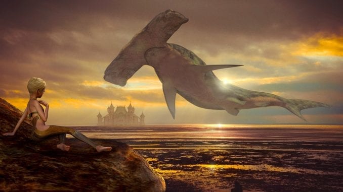 shark-in-the-sky-678x381.jpg